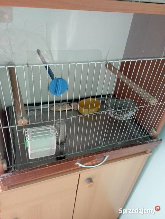 Sprzedam klatkę domek ptaków Kraków