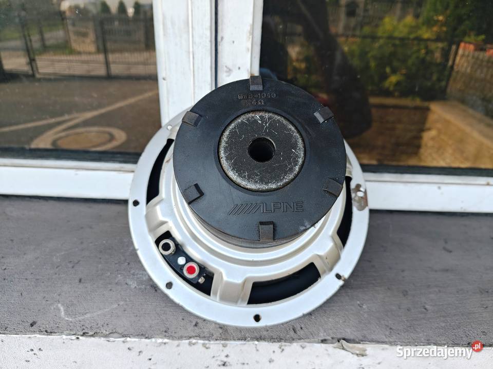 Głośnik bassowy basowy niskotonowy 10 25 250mm Niegowonice