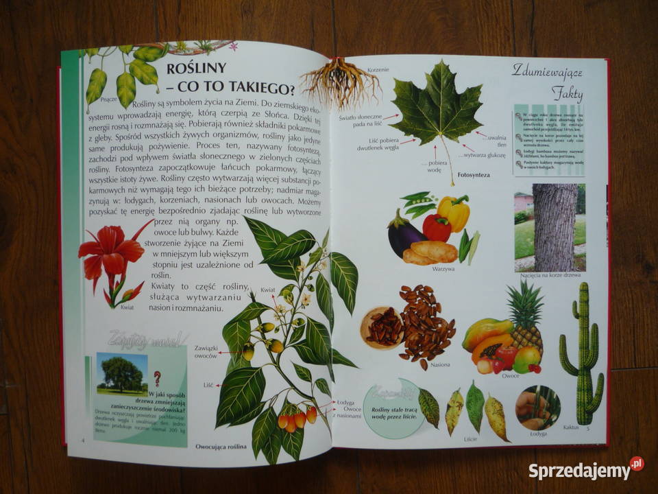 NOWA Ilustrowana encyklopedia Rośliny Książka Szczecin
