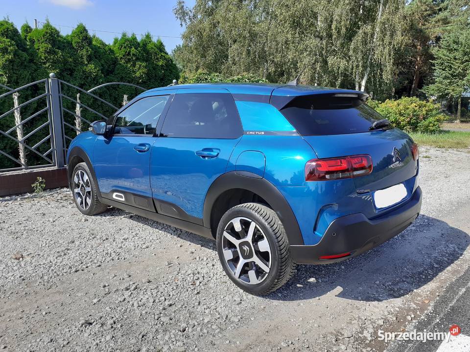 Citroen C4 Cactus 15 Citron BlueHDi Shine EAT6 elektryczne szyby Grudziądz