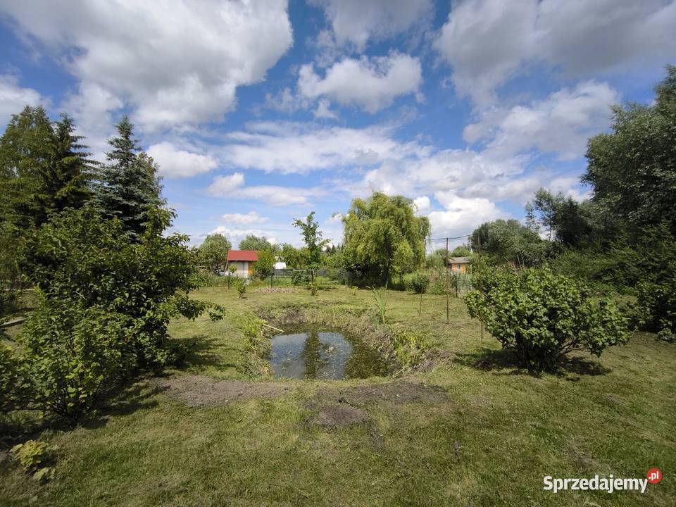 Działka Rod Wygon 6ar dużo nasadzeń kominek 31zł/m2 Chełm