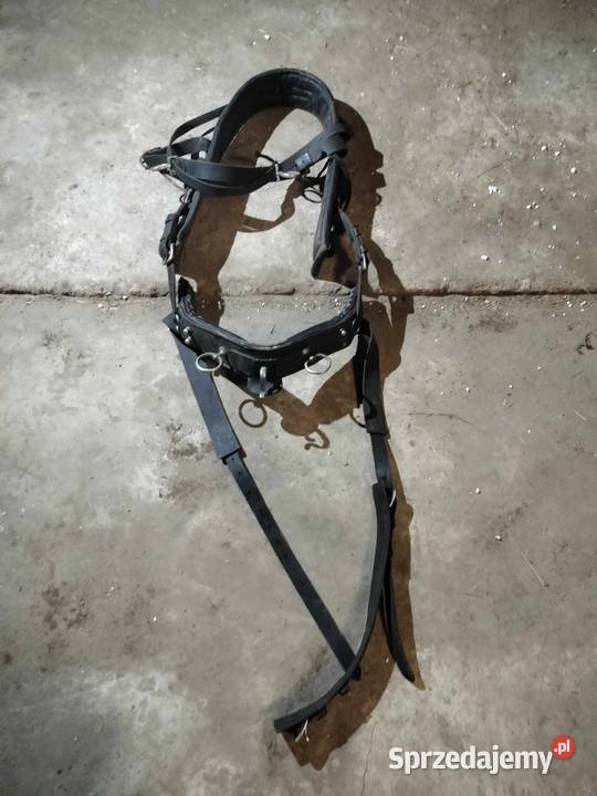 Szory do koni wielkopolskie Turek sprzedam