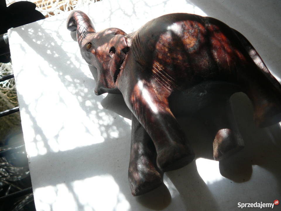 Słoń mały drewno Wrocław
