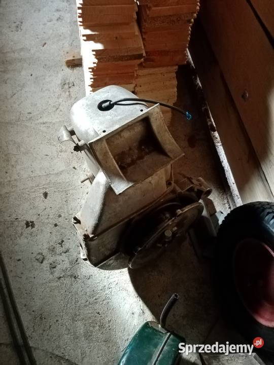 Sprzedam dzik 21 Przeworsk