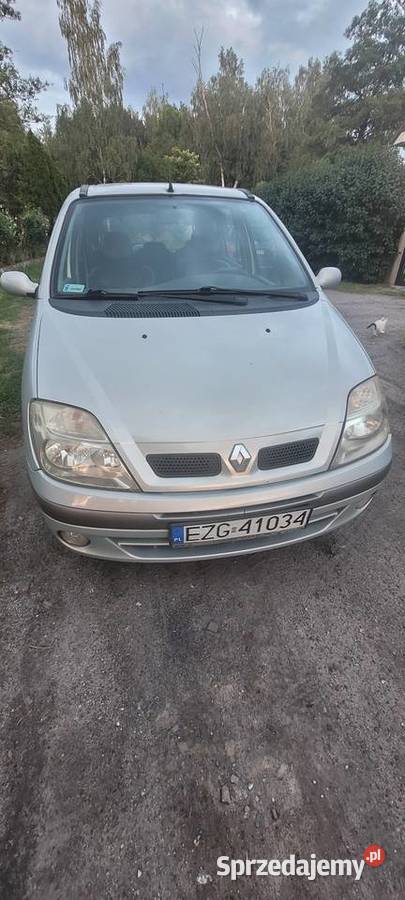 Renault Scenic Scenic Aleksandrów Łódzki