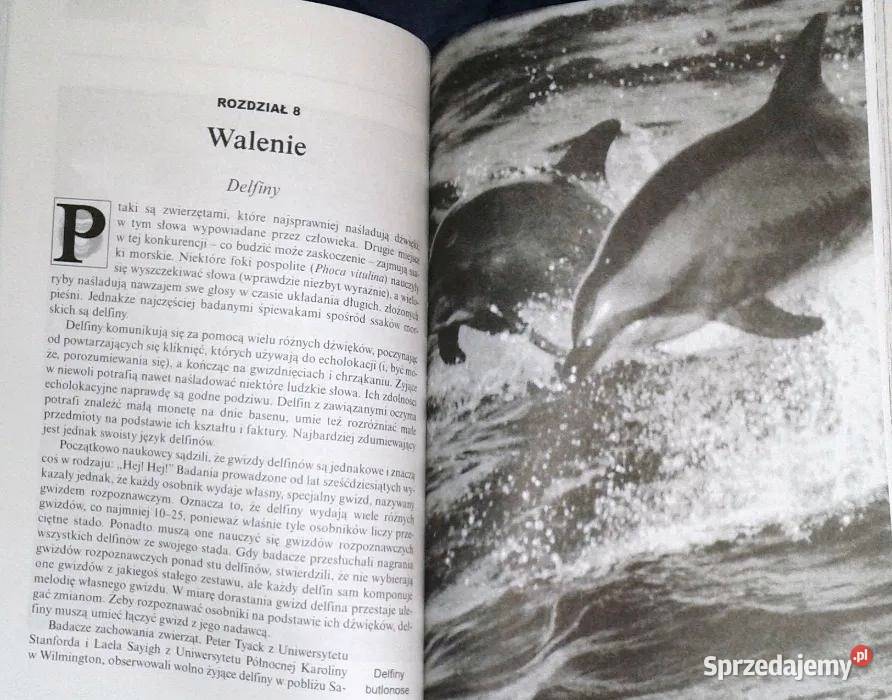 Mowa zwierząt Stephen Hart Chełm