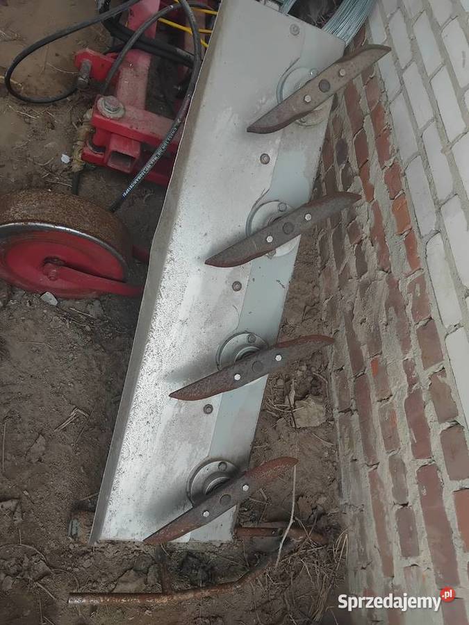 Podcinacz podkaszarka do porzeczek agrestu lubelskie Kraśnik