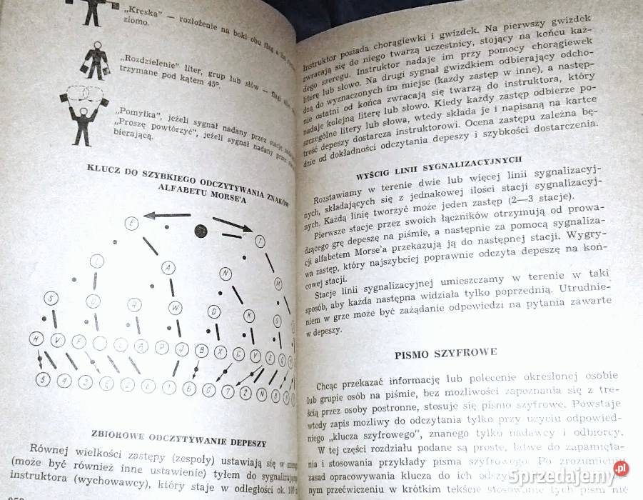 Wypoczynek dzieci i młodzieży Ministerstwo