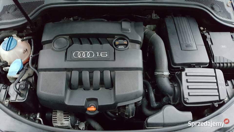 Audi A3 16 Benzynka 102 Sportback Piękna 1595cm3