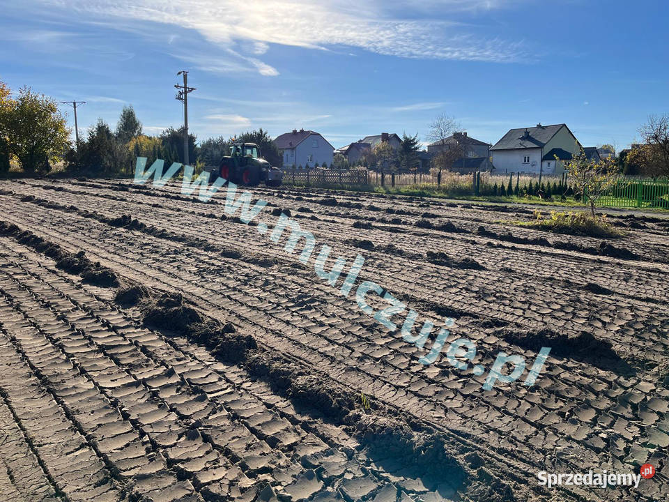 Wycinka drzew Karczowanie rekultywacja działek małopolskie Kraków ogród