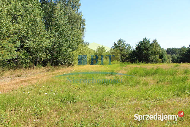 Działki inwestycyjna jeziorem Siecino