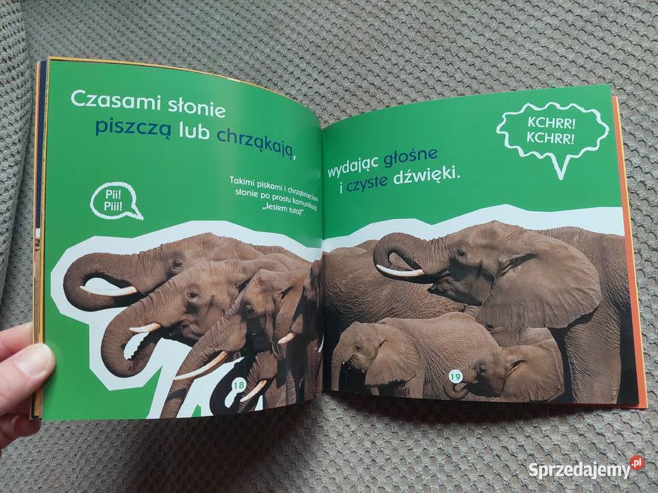 Co jeden słoń powiedział drugiemu Becky Baines miękka Kraków