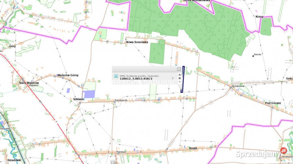Działka 30500m2 PrandocinIły Prandocin-Iły