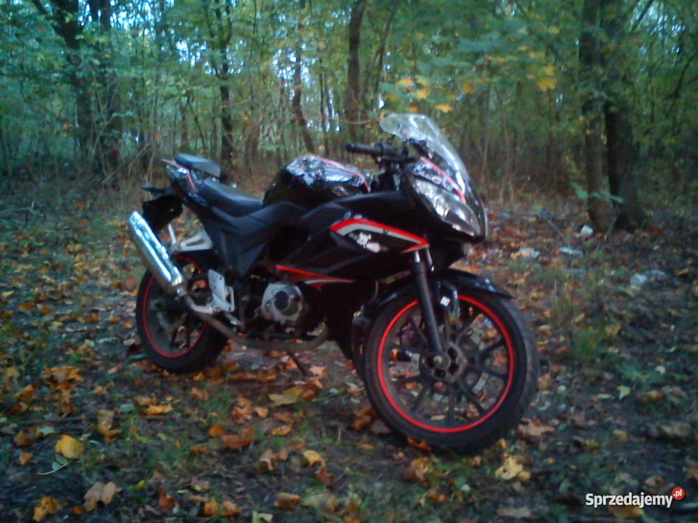 Leone Rk 50125 Wrocław