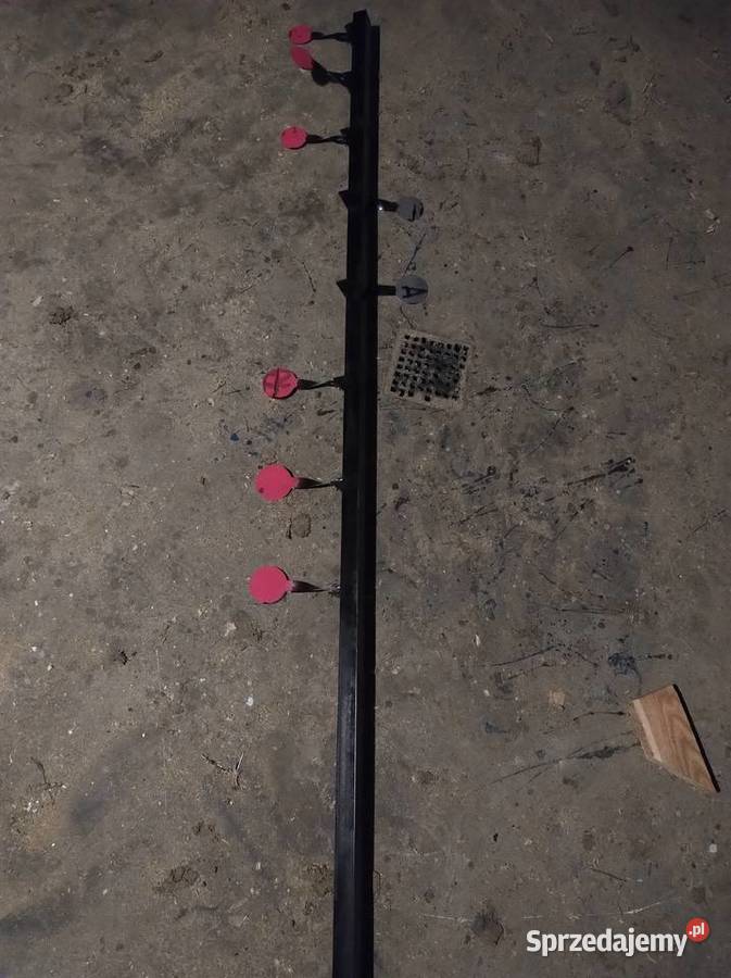 Wiatrówki zestaw Hatsan Beeman Ruger HDR 50 cele podkarpackie Kańczuga