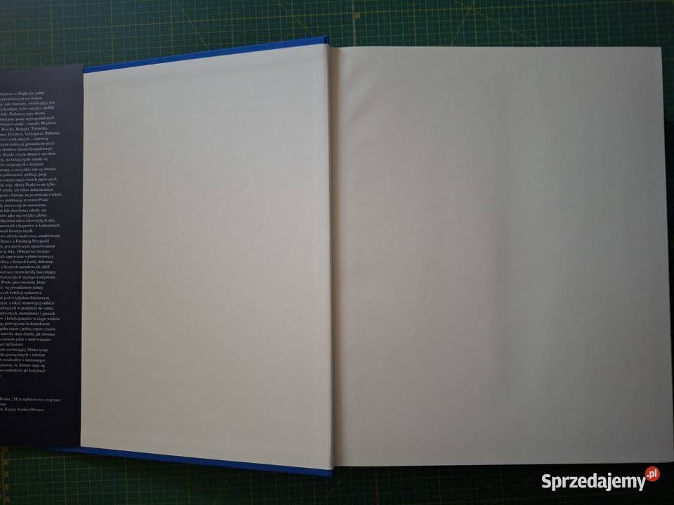 Arcydzieła malarstwa Muzeum Prado Arkady sztuka, kultura i etnologia Kraków sprzedam