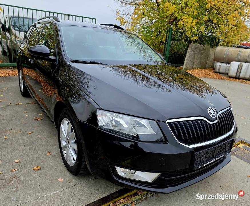 Skoda Octavia 16 TDi Kargowa