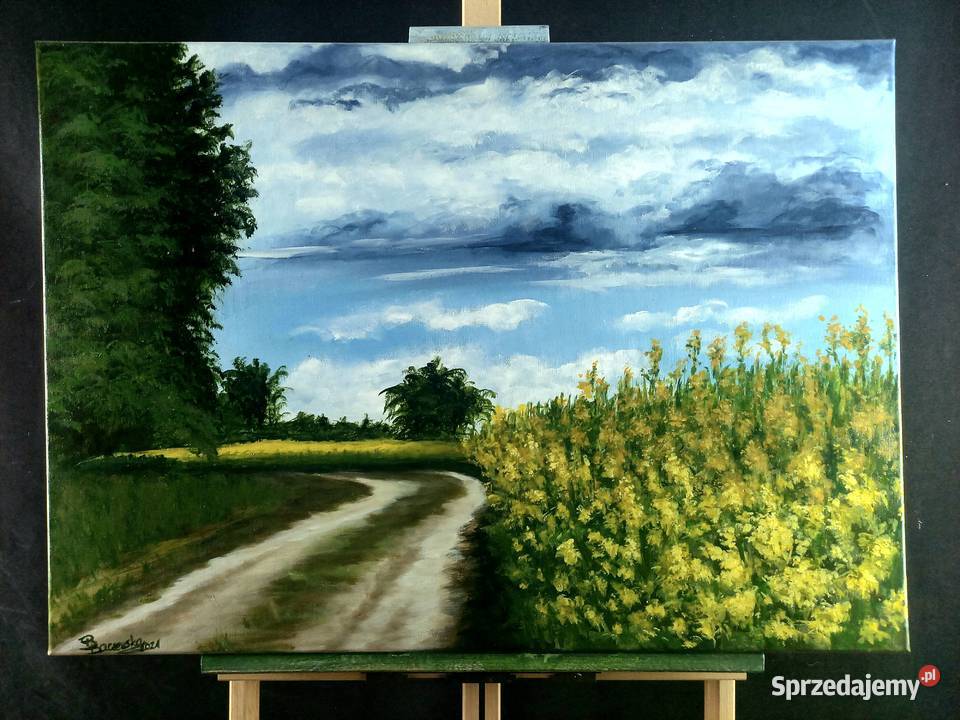 Obraz akryl ręcznie malowany 50x70 Malarstwo Olsztyn