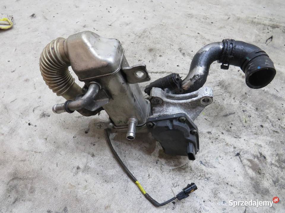ZAWÓR EGR QASHQAI J10 16 DCI 147100789R sprzedam