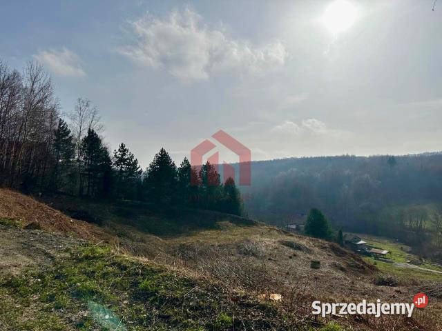 Działka Dębica 5700 metrów