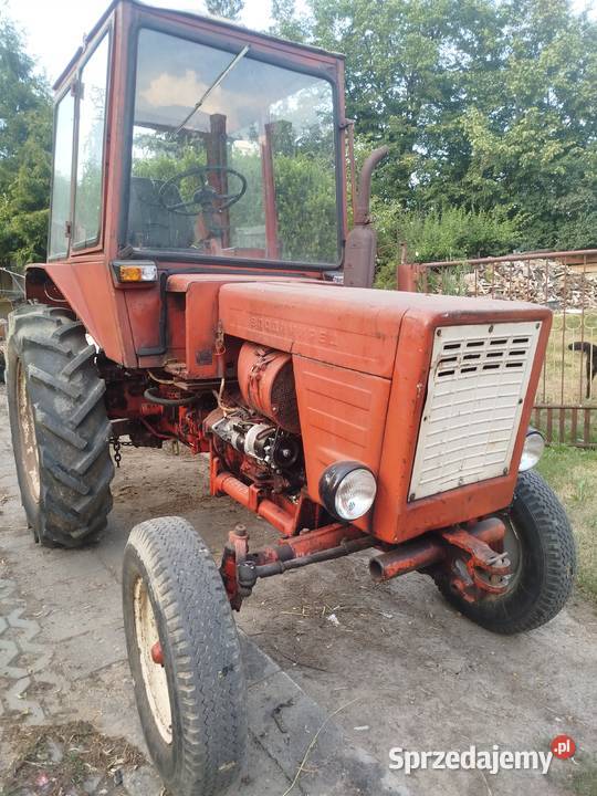 Wladimirec T25 Wąwolnica