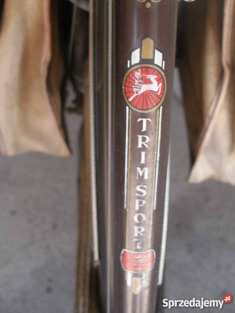 Zabytek damka Gazelle Trimsportmetalowe cięgna Włocławek