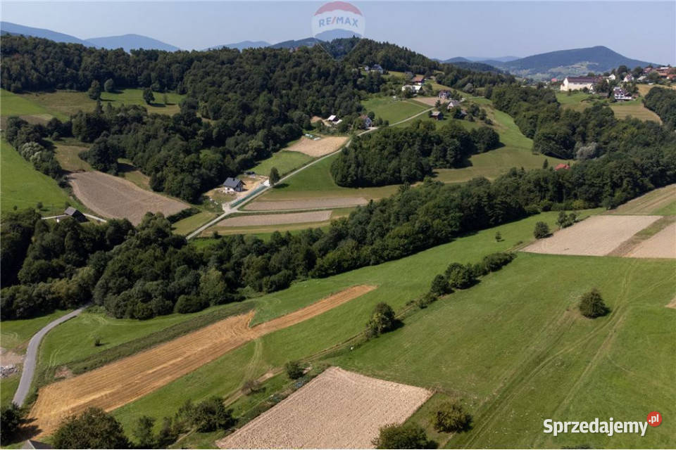 Grunty 5 400 m widok las i działka z WZ Młynne