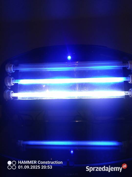 Sprzedam akwarium Morskie 60 Akwarystyka Radom