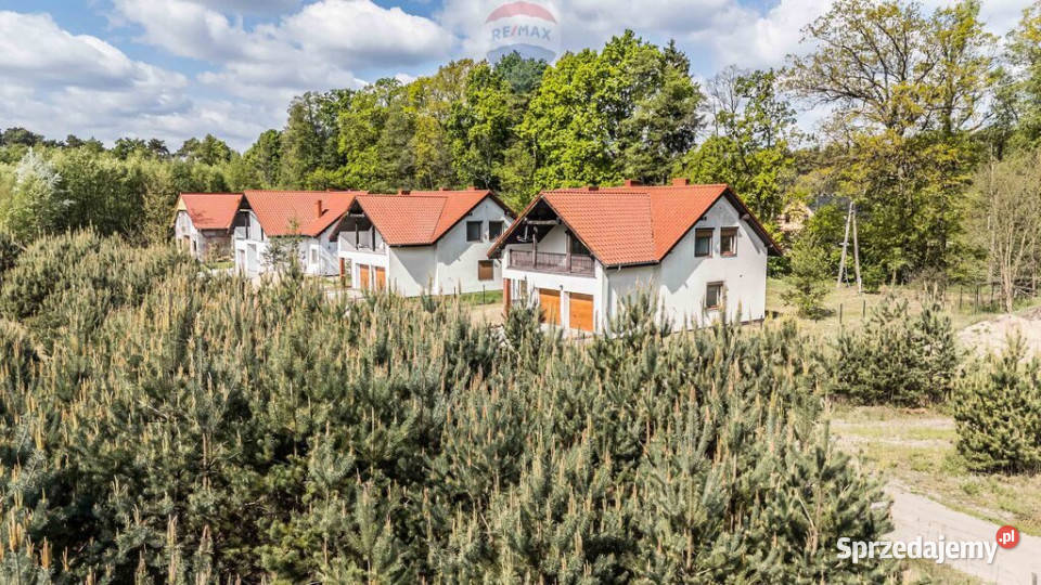 WOLNOSTOJĄCY LAS CISZA SĘKOWO natura wielkopolskie Sękowo sprzedam