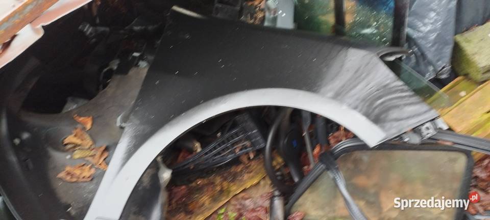 Renault Clio Biskupice