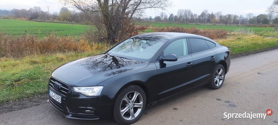 BLACK A5 SPORTBACK 20 TDI 190 BIXENON RADAR 2 lakier metallic A5 A5 Suchy Dąb