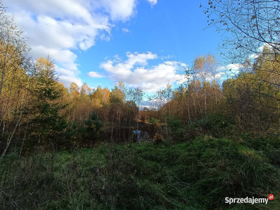 Działka 3000m2 Gromadzin 3000m2