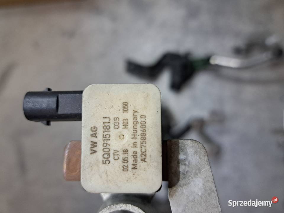 Klema minusowa 5Q0915181J Wrocław