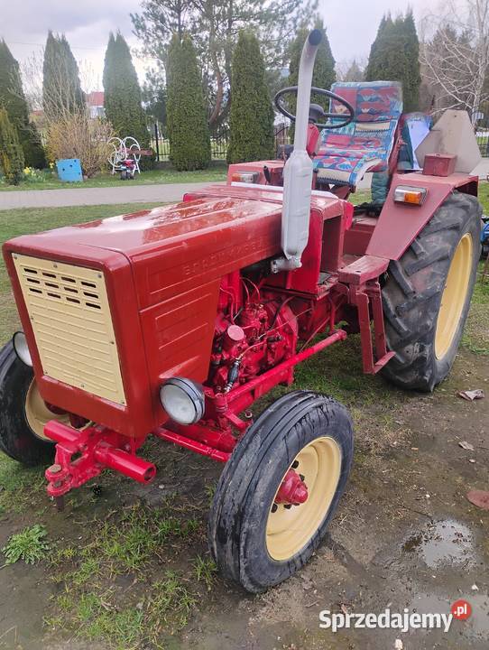 Władimirec T25 Orzechowce