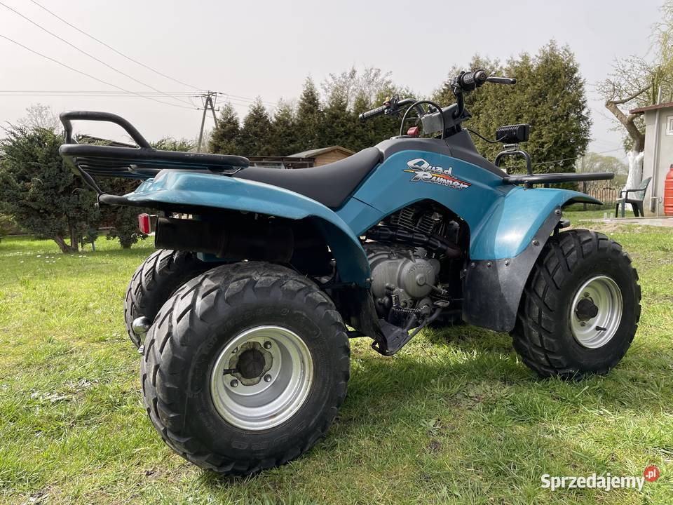 sprzedam quada suzuki 250 nieuszkodzony