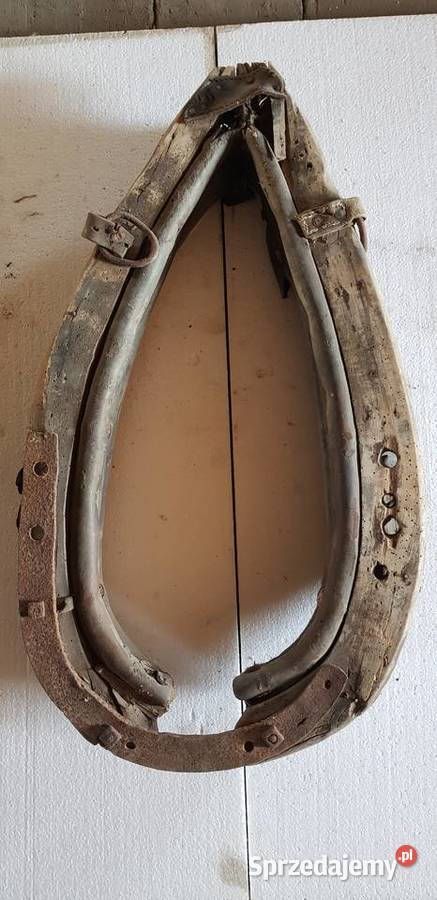 Homonto konia Pozostałe