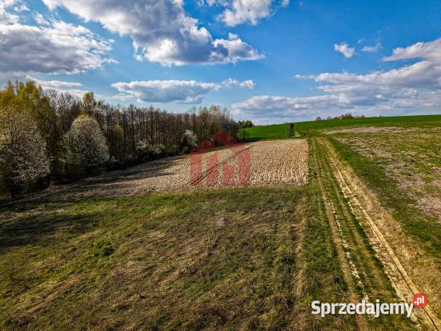 Działka 4836m2 Hadle Kańczuckie sprzedam