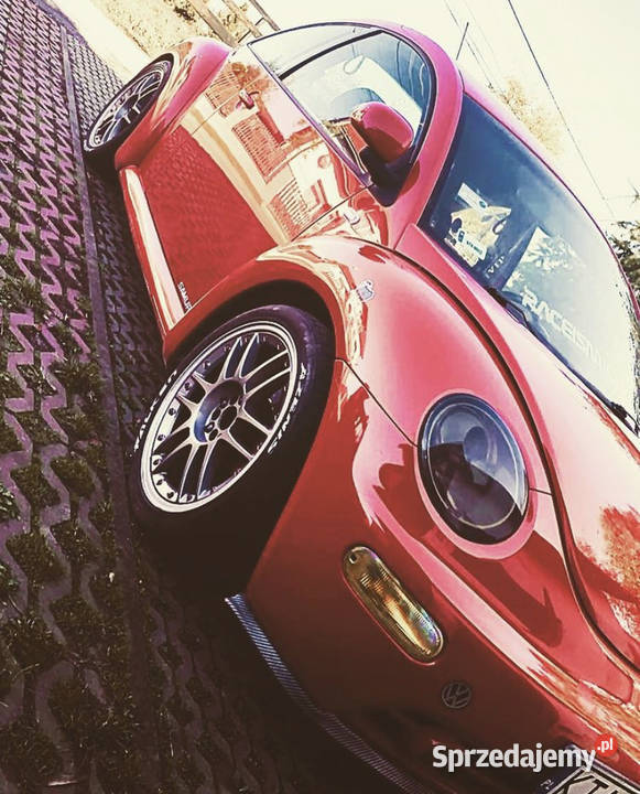 Beetle JEDYNY TAKI PrzepustnicaSPORT Tarnów