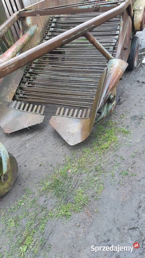 Sprzedam kopaczke do ziemniaków Ulan Duży