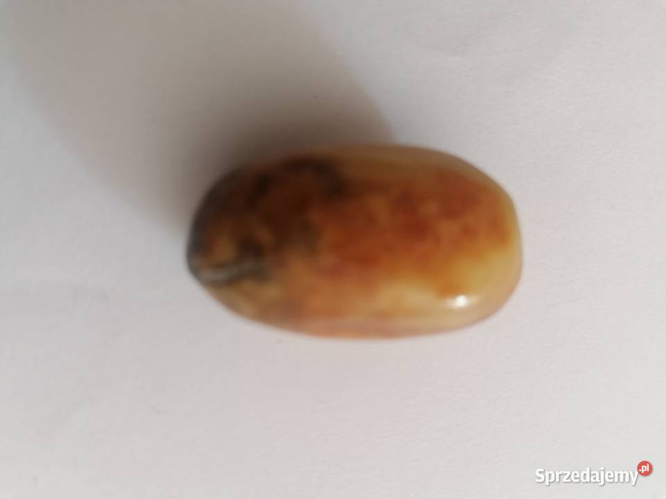 Bursztyn inkluzja Unikat podlaskie Białystok