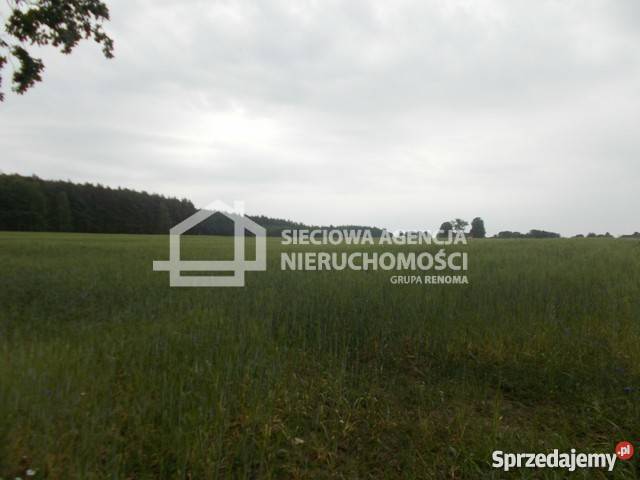 sprzedaży gruntu 41960m2