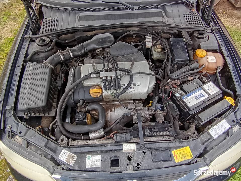 Opel Vectra 18 1999r BG Dąbrowa Tarnowska