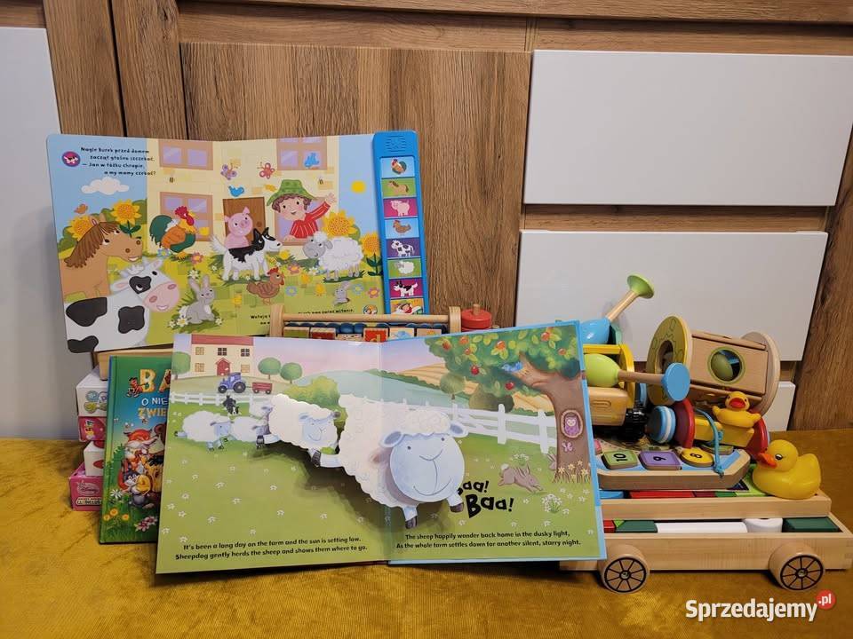 Pierwsze zabawki drewniane puzzle książeczki Bydgoszcz
