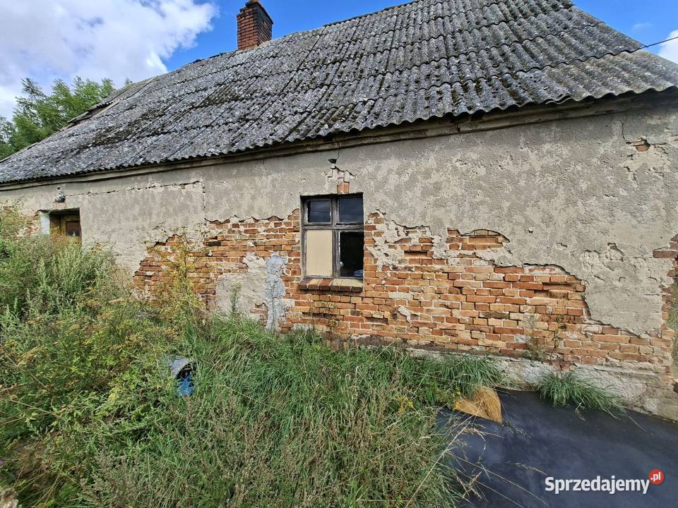 Dom z gruntem ornym 14300m2 Sprzedaż