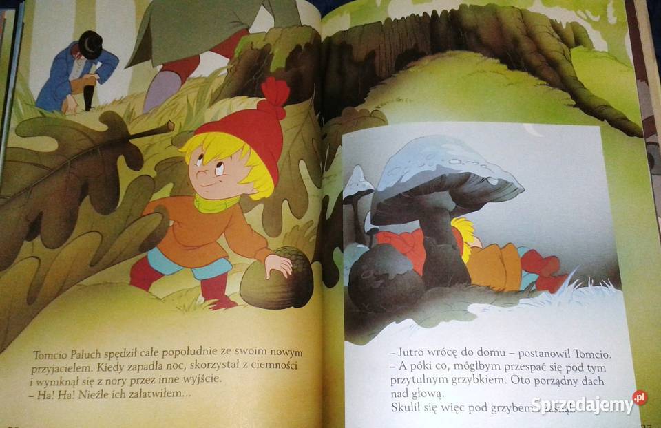 Tomcio Paluch Van Gool Rok wydania 2004 Chełm sprzedam