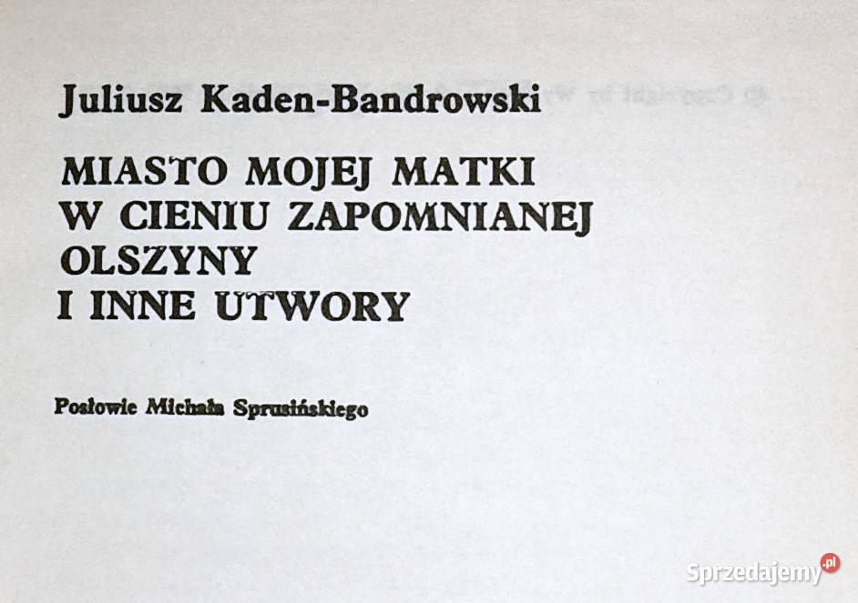 Miasto mojej matki I inne utwory Juliusz lubelskie Chełm sprzedam