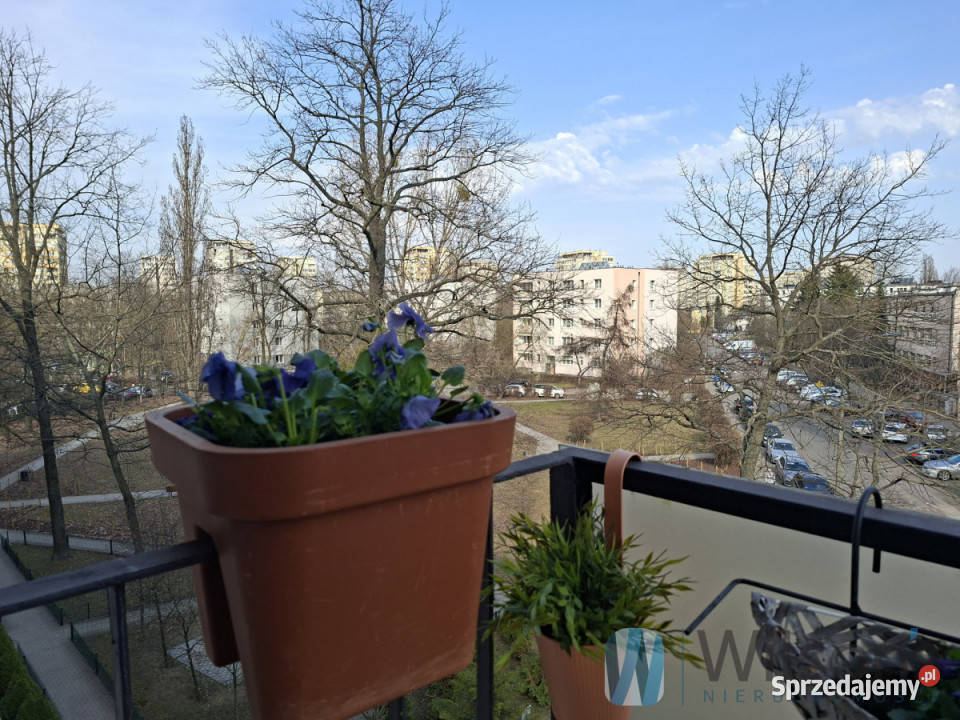 Sprzedam mieszkanie 458m2 3 pokoje Warszawa Rok budowy 1969