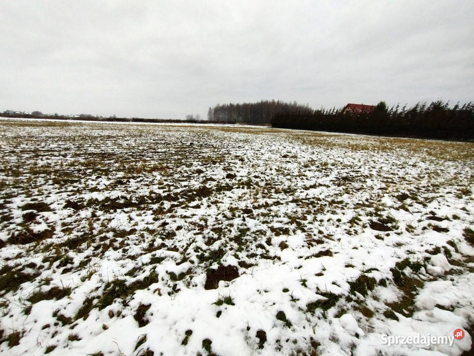 Do sprzedaży działka 1164m2 Wola Niemiecka