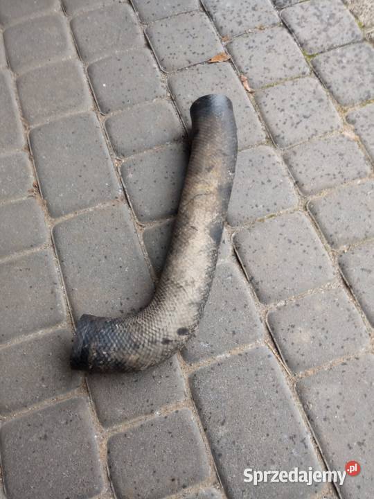 Rury intercoolera Mitsubishi L200 IV 25 DID Kościerzyna