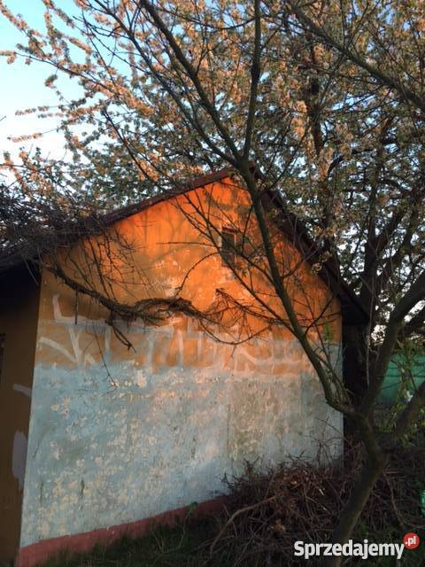 Sprzedam działkę ROD Cicha Dolina Wrocław